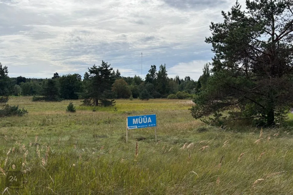 Maatulundusmaa, 6951 m² Maa  -  Türi vald, Kolu küla