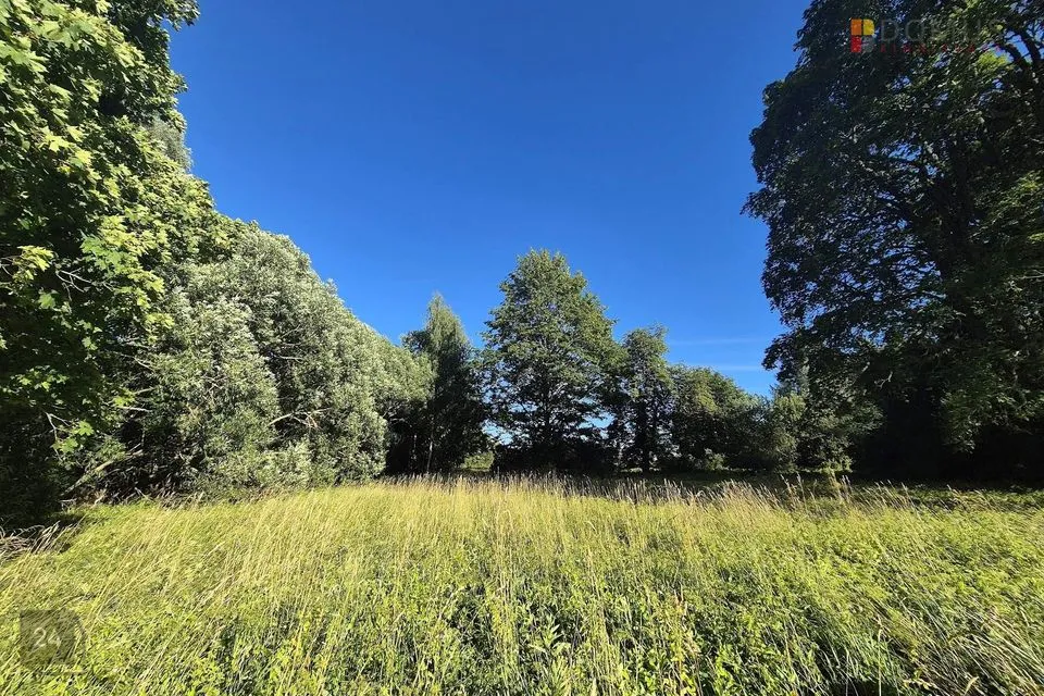 Земля жилой застройки, 15386 m² участок в Põhja-Sakala vald, Lahmuse küla - фото 2