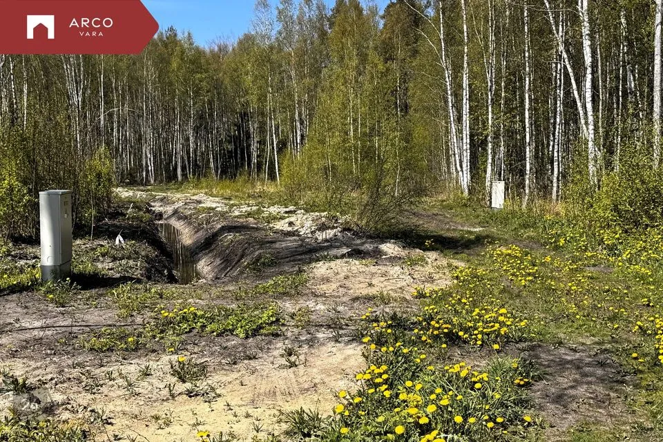 Elamumaa, 5123 m² Maa - Lääne-Harju vald, Madise küla - foto 2