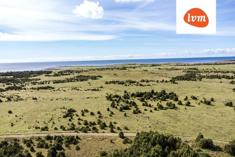 Maatulundusmaa, 185300 m² Maa - Saaremaa vald, Karala - foto 5