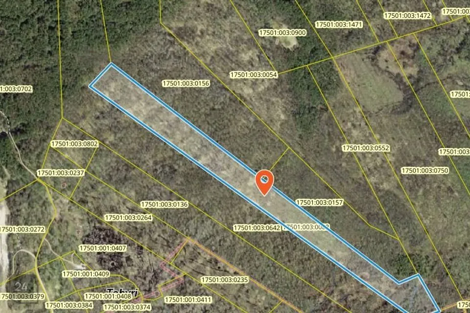 Cultivated land, 98789 m² land in Hiiumaa vald, Tohvri küla - photo 2