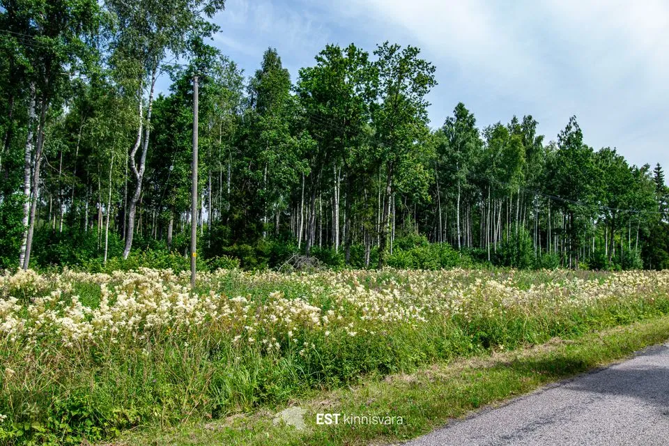 Maatulundusmaa, 10159 m² участок в Lääneranna vald, Rädi küla - фото 2