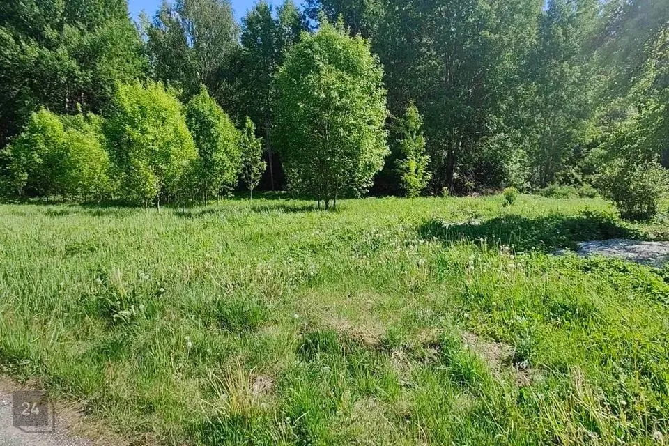 Elamumaa, 1904 m² Maa  -  Kehtna vald, Järvakandi alev - foto 5