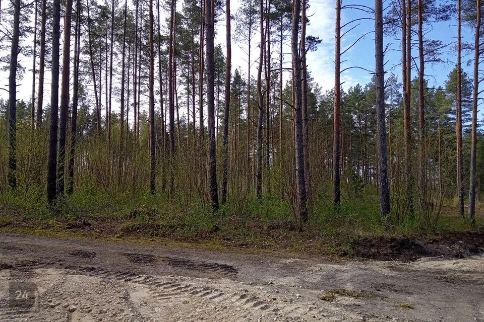 Maatulundusmaa, 15977 m² участок в Haapsalu linn, Rummu küla - фото 4
