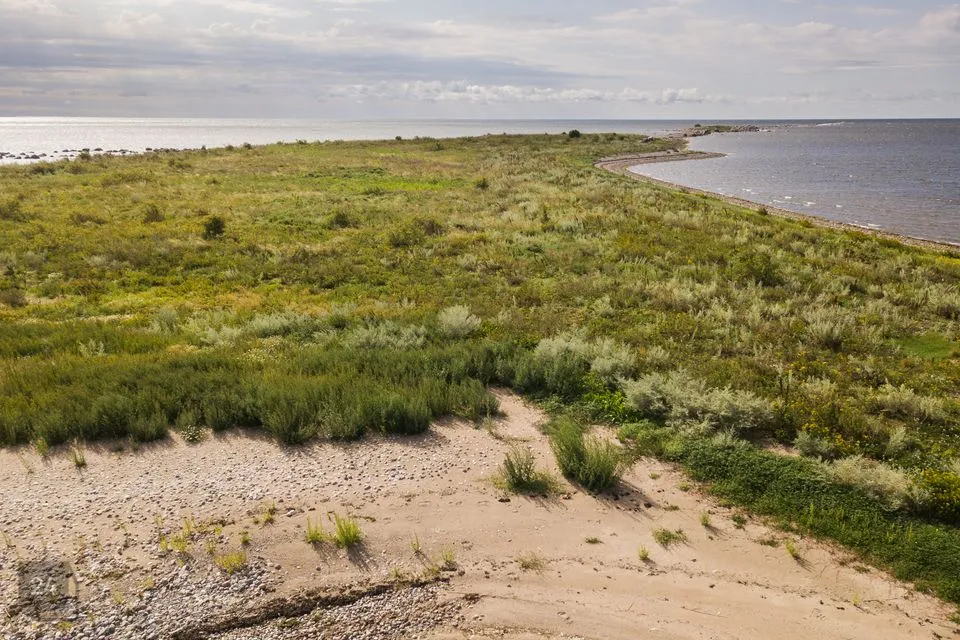 Maatulundusmaa, 48000 m² Maa  -  Saaremaa vald, Abruka küla - foto 2