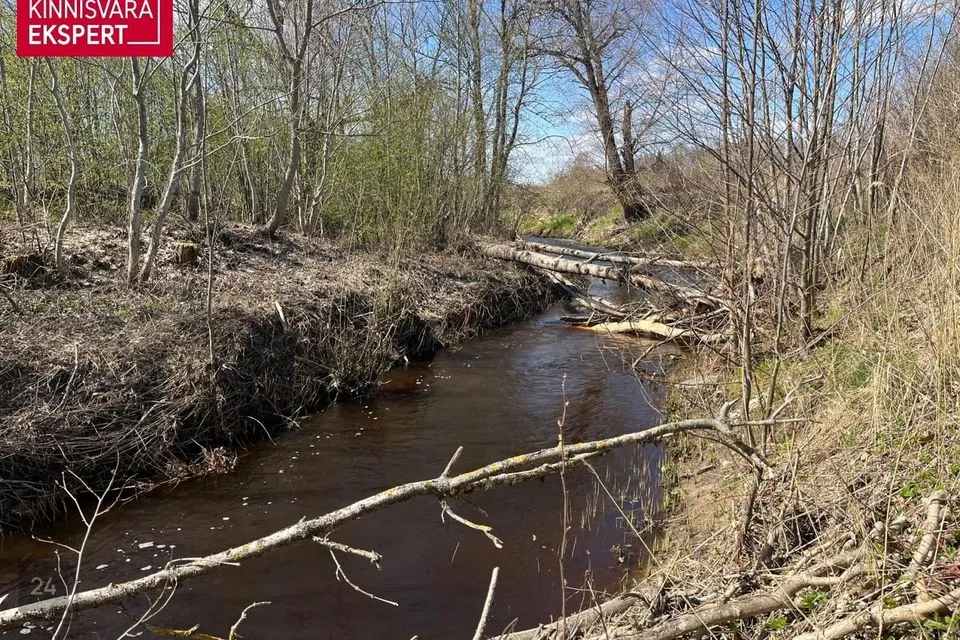 257 m² Maja  -  Pärnu linn, Audru alevik - foto 5