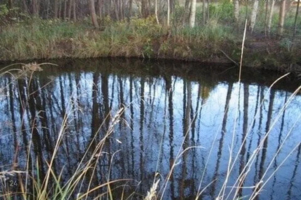 Elamumaa, 7588 m² Maa  -  Hiiumaa vald, Luguse küla - foto 2