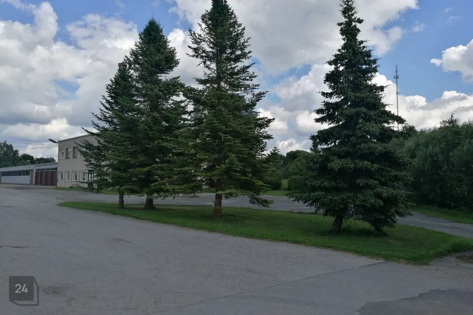 Majutus või Teenindus, 6032 m² Äripind  -  Rapla vald, Kaiu alevik - foto 5