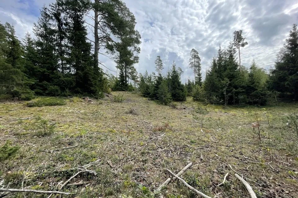 Maatulundusmaa, 14159 m² участок в Saaremaa vald, Koki küla - фото 4