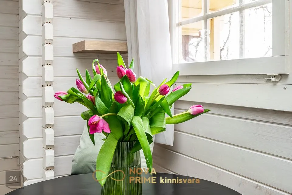 1-toaline Suvila  -  Tallinn, Pirita linnaosa - foto 4