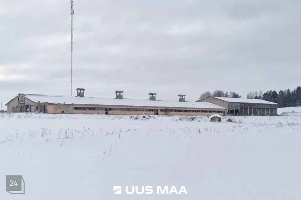 Земля производственного назначения, 21192 m² участок в Vinni vald, Aasuvälja küla - фото 4