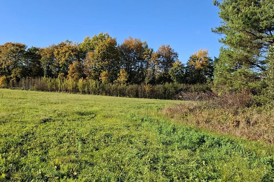 Maatulundusmaa, 21263 m² Maa  -  Lääne-Nigula vald, Uugla küla - foto 5