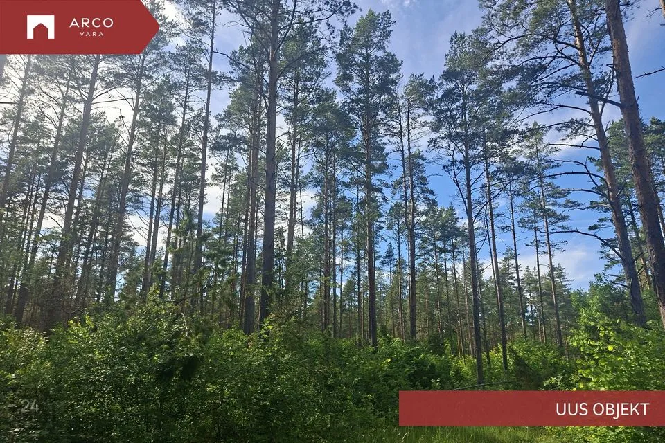 Maatulundusmaa, 25271 m² Maa  -  Saaremaa vald, Pulli küla - foto 2