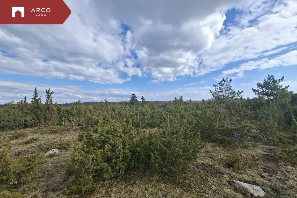 Maatulundusmaa, 100935 m² Maa - Muhu vald, Rannaküla - foto 3