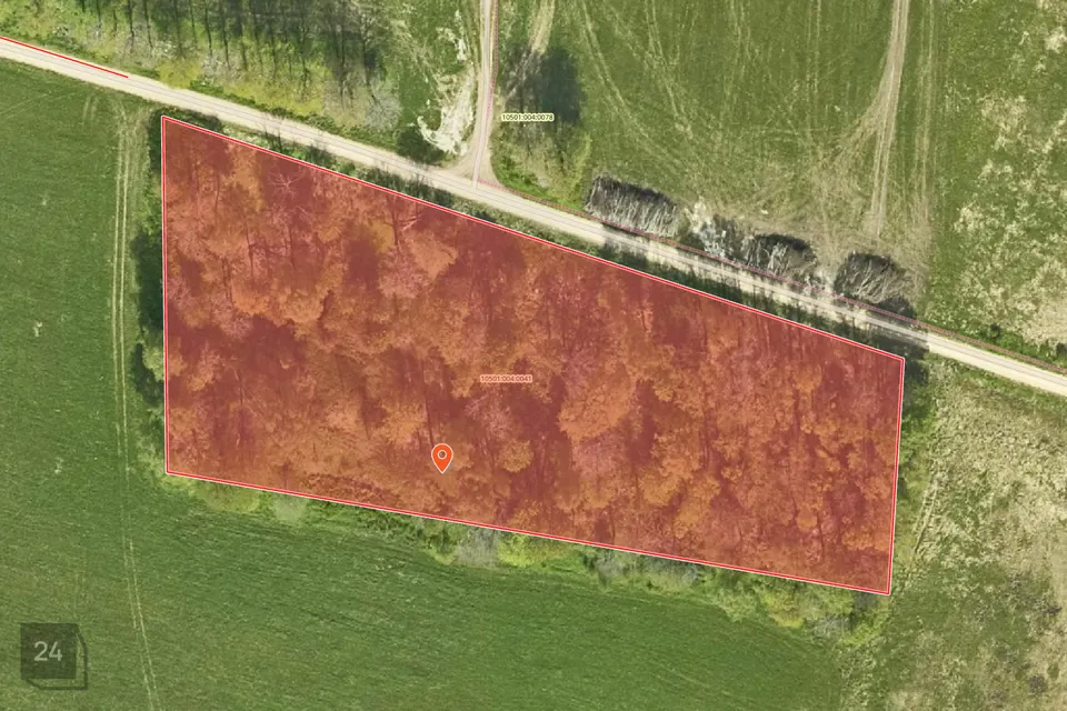 Земля жилой застройки, 10876 m² участок в Mulgi vald, Veelikse küla - фото 3