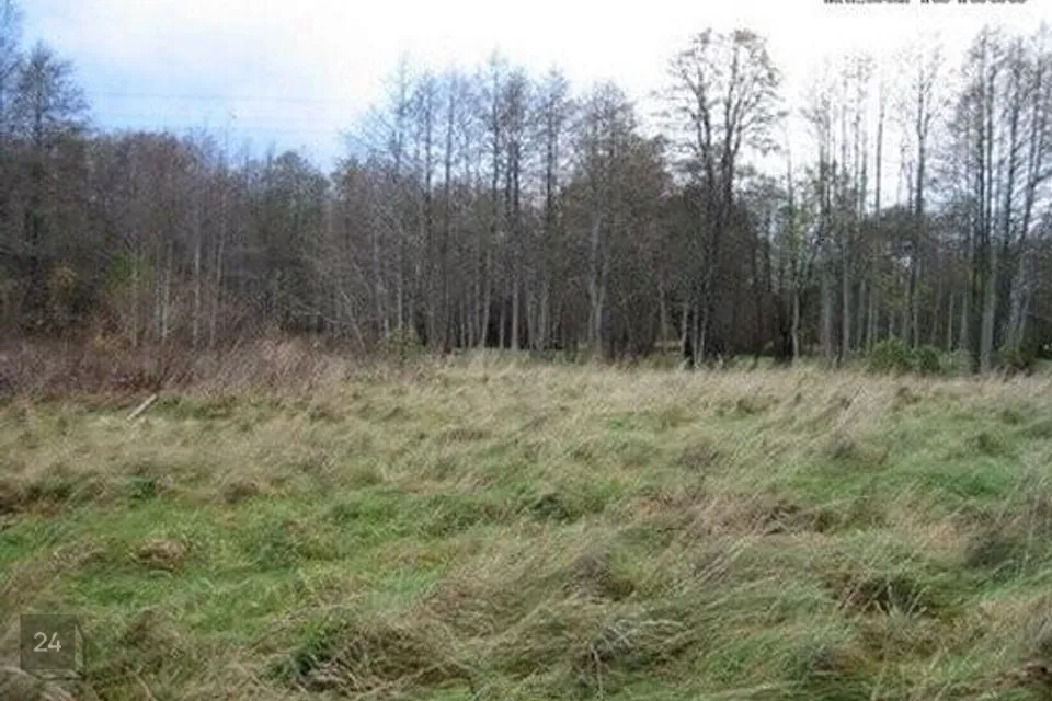 Elamumaa, 7588 m² Maa  -  Hiiumaa vald, Luguse küla - foto 3