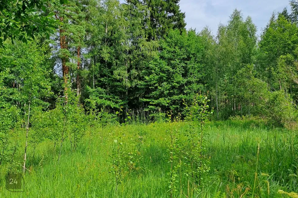 Земля жилой застройки, 5106 m² участок в Haljala vald, Võsu alevik - фото 5