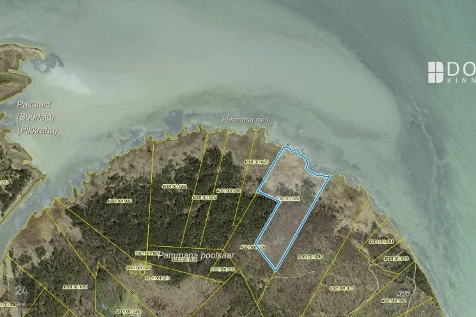 Sihtotstarbeta maa, 96673 m² Maa  -  Saaremaa vald, Pammana küla