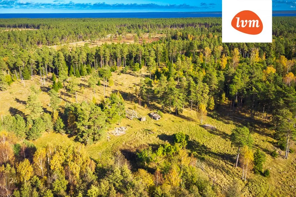 Maatulundusmaa, 90310 m² Maa  -  Saaremaa vald, Tagamõisa küla - foto 2