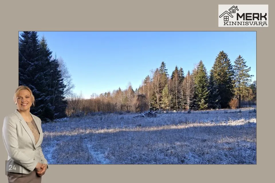 Elamumaa, 11002 m² Maa - Märjamaa vald, Vaimõisa küla - foto 5