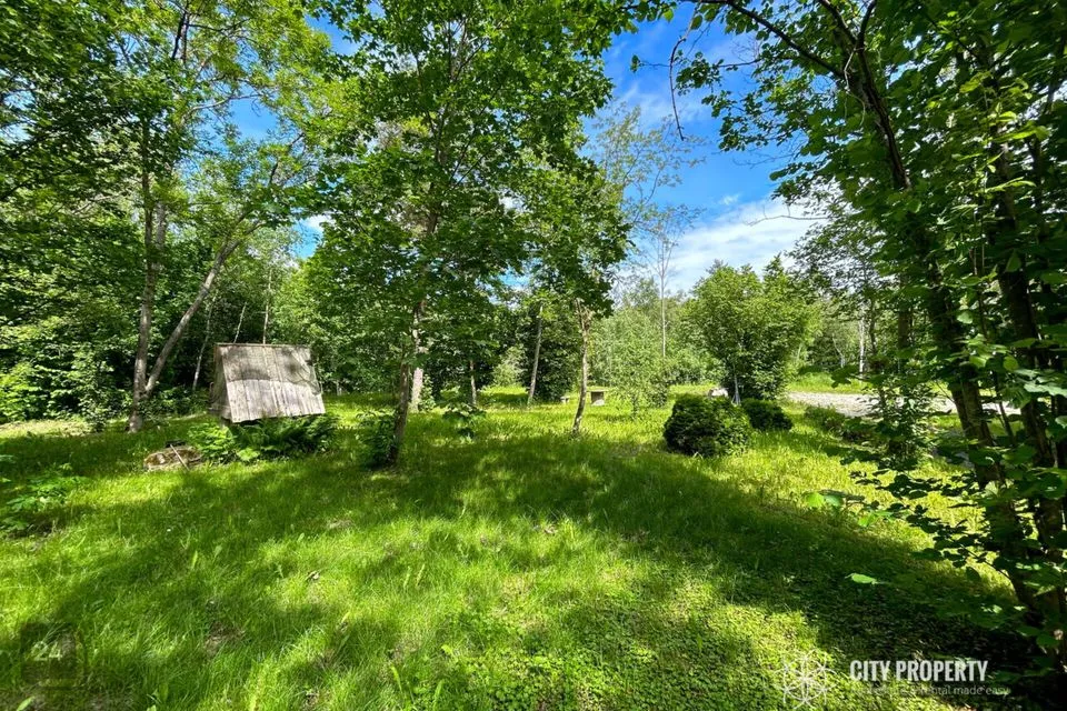 Maatulundusmaa, 11340 m² Maa - Saue vald, Püha küla - foto 3