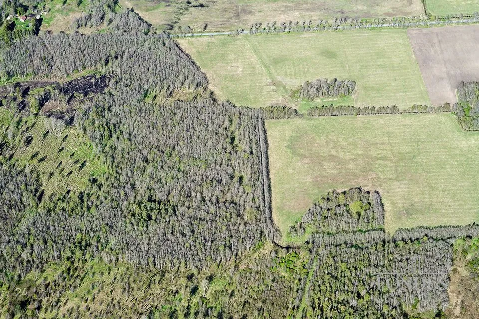 Maatulundusmaa, 37647 m² участок в Haljala vald, Kakuvälja küla