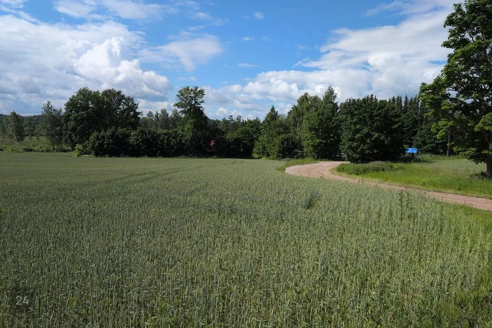 Maatulundusmaa, 30281 m² участок в Tartu vald, Kobratu küla - фото 2