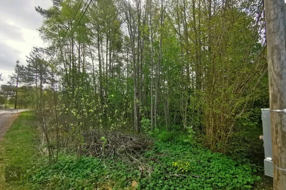 Elamumaa, 889 m² Maa - Haapsalu linn, Paralepa alevik - foto 5