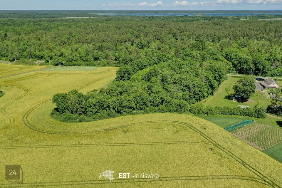 Maatulundusmaa, 12000 m² участок в Saaremaa vald, Valjala-Nurme küla