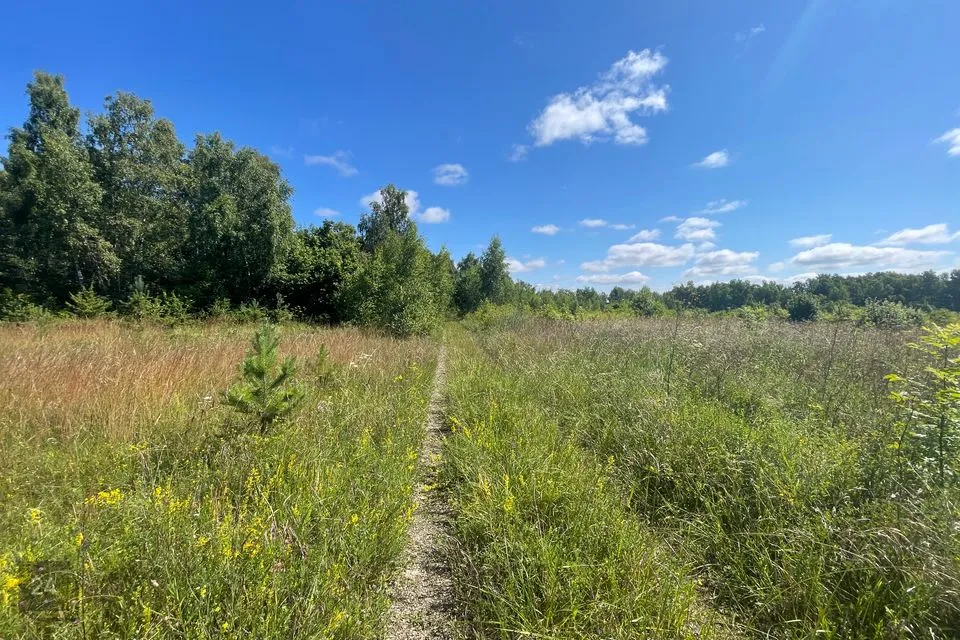 Земля жилой застройки, 2274 m² участок в Haapsalu linn, Pusku küla