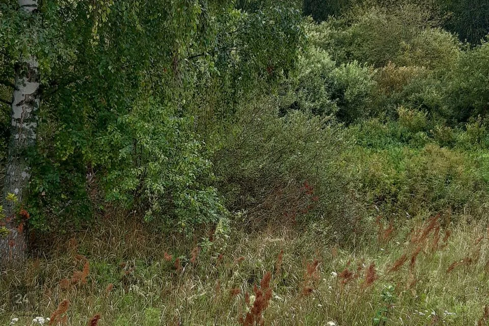 Maatulundusmaa, 25780 m² Maa  -  Peipsiääre vald, Nina küla - foto 5