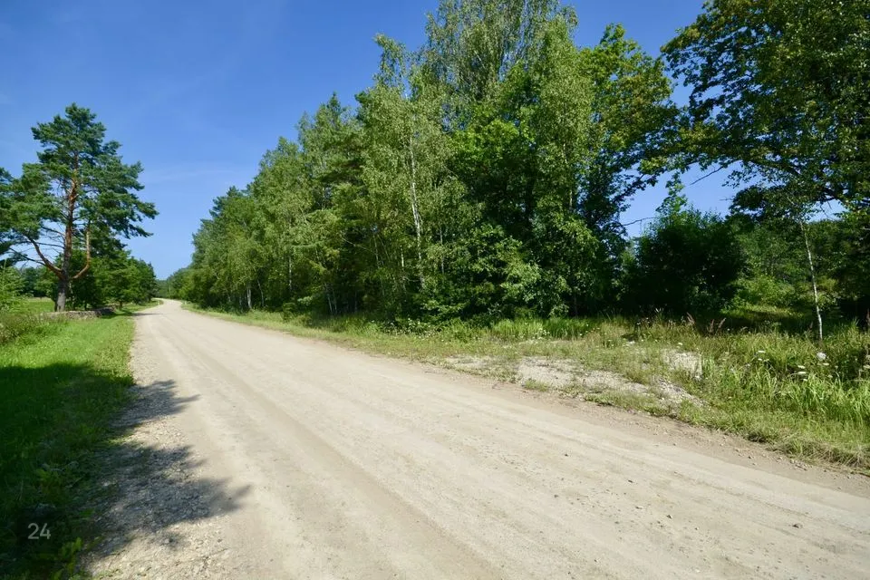 Elamumaa, 9482 m² Maa  -  Saaremaa vald, Roobaka küla - foto 3