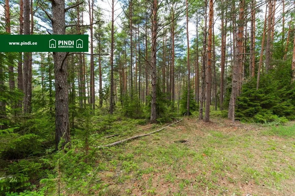 Земля жилой застройки, 10684 m² участок в Lääne-Nigula vald, Elbiku küla / Ölbäck - фото 3