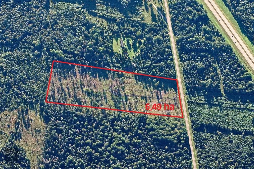 Maatulundusmaa, 64985 m² участок в Kadrina vald, Loobu küla