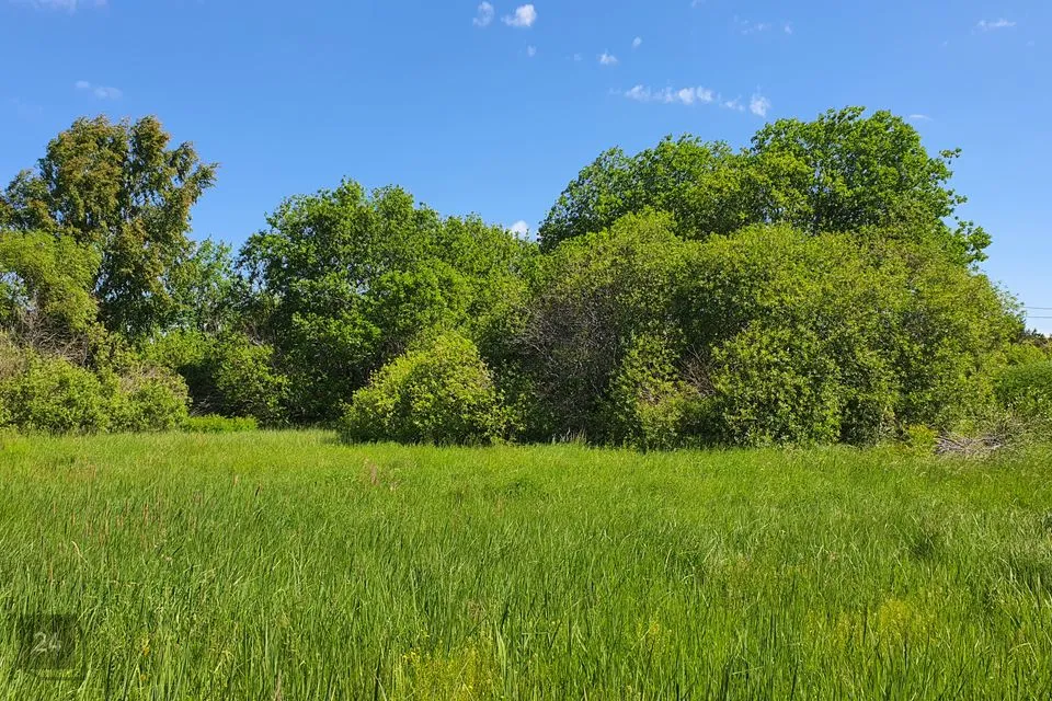 Elamumaa, 3802 m² Maa  -  Harku vald, Türisalu küla - foto 4