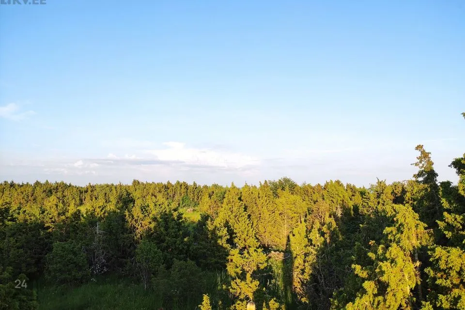 Maatulundusmaa, 19871 m² участок в Muhu vald, Võiküla - фото 5