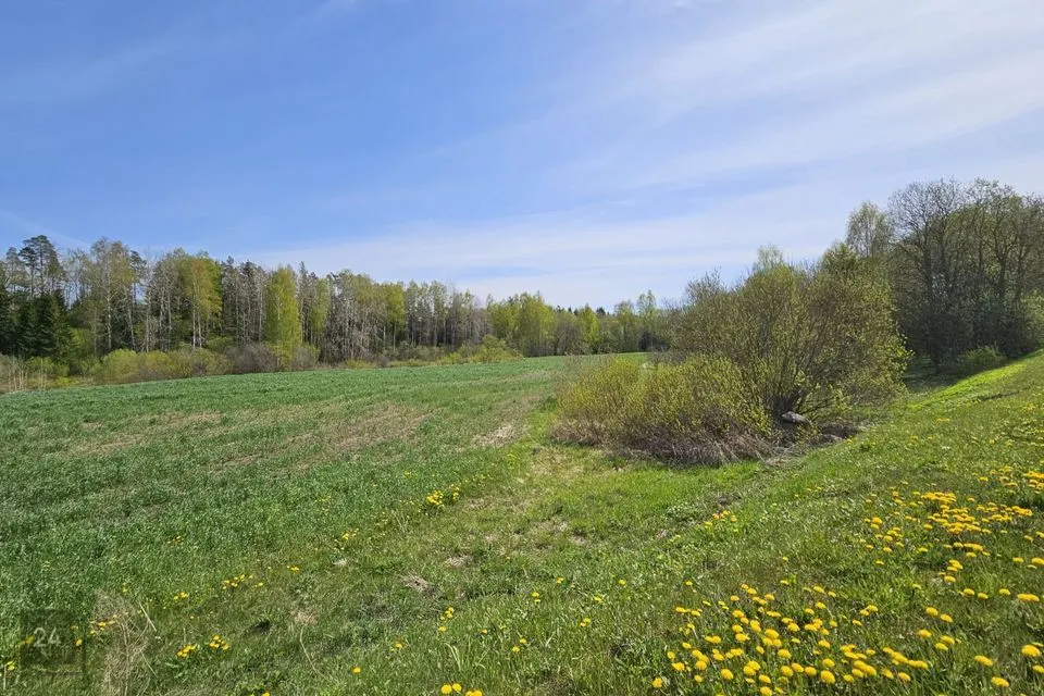 Maatulundusmaa, 35699 m² участок в Vinni vald, Mõdriku küla