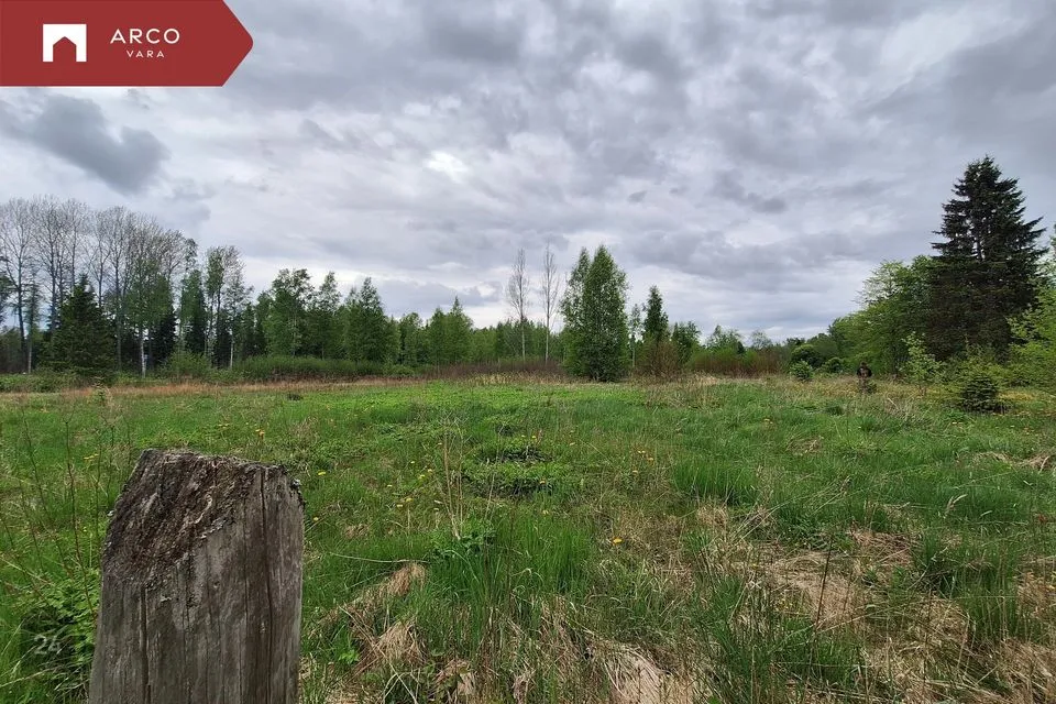 Maatulundusmaa, 31565 m² Maa - Kuusalu vald, Loksa küla - foto 4