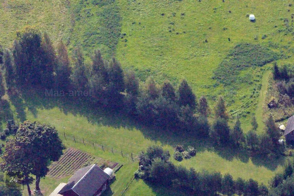 Земля жилой застройки, 5008 m² участок в Jõhvi vald, Pühajõe küla - фото 5