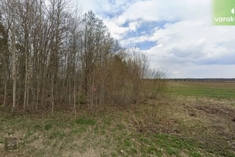 Maatulundusmaa, 3161 m² Maa  -  Rapla vald, Lipstu küla - foto 3