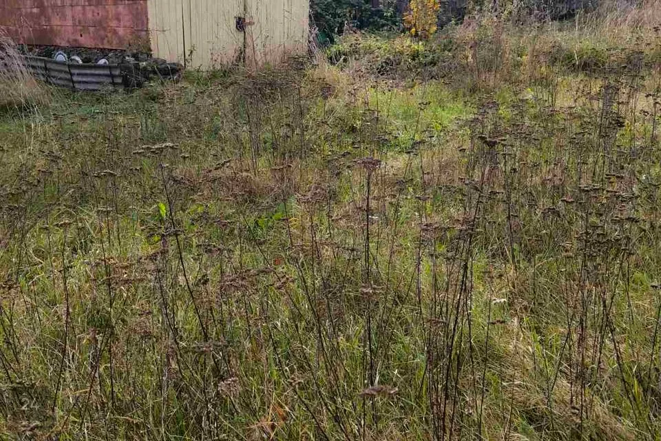 4444 m² Maa  -  Jõhvi vald, Sompa küla - foto 2