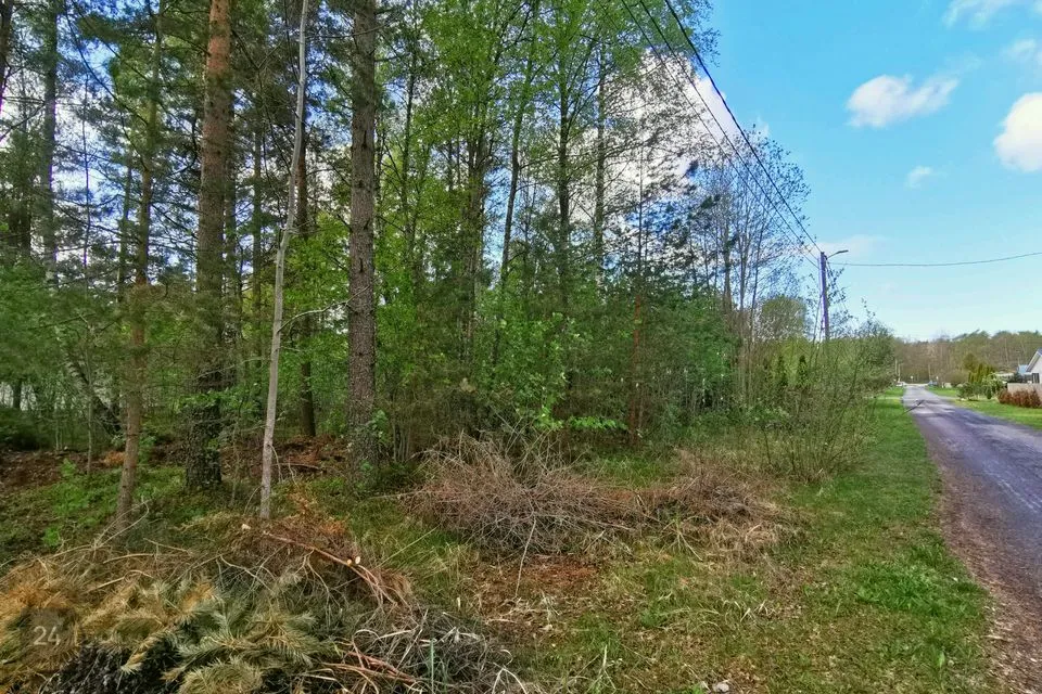 Elamumaa, 889 m² Maa - Haapsalu linn, Paralepa alevik - foto 4
