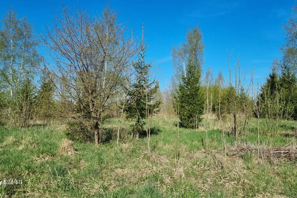 Maatulundusmaa, 21300 m² Maa  -  Peipsiääre vald, Kokanurga küla
