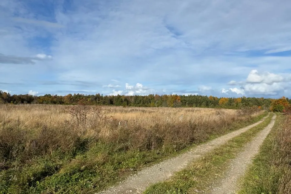 Maatulundusmaa, 25735 m² участок в Saaremaa vald, Pammana küla - фото 2