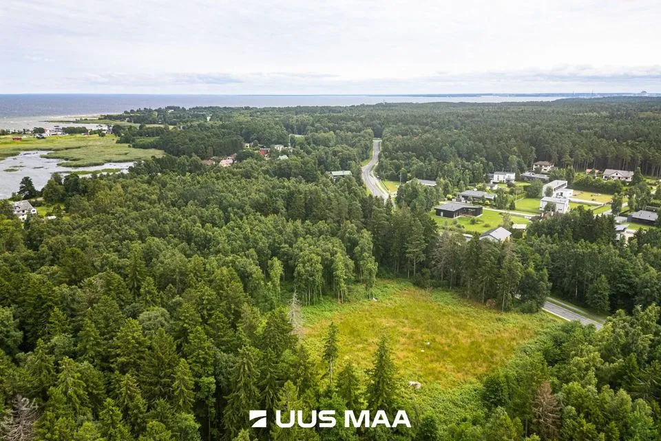 Maatulundusmaa, 12460 m² Maa  -  Viimsi vald, Leppneeme küla - foto 4