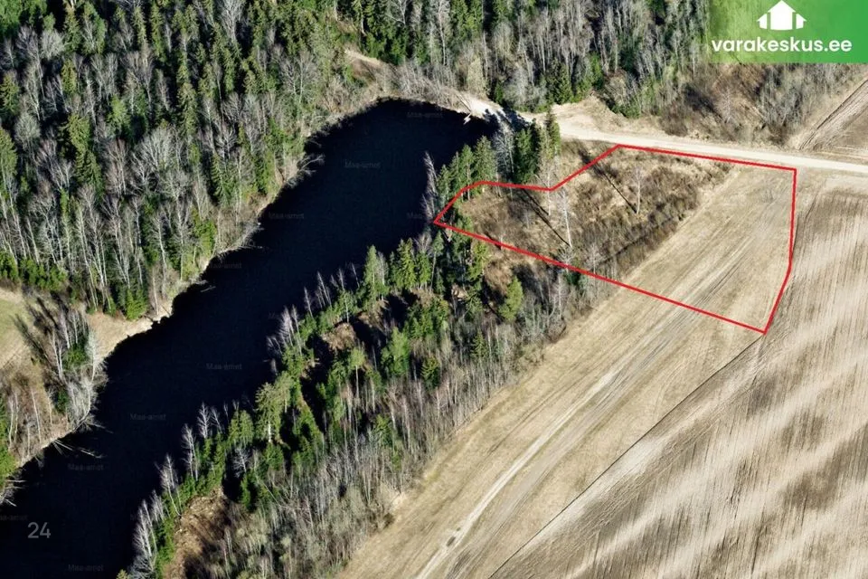 Elamumaa, 6131 m² Maa - Mulgi vald, Veelikse küla