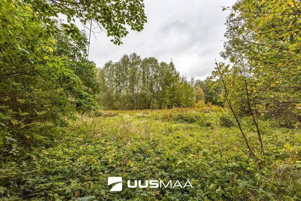 Maatulundusmaa, 6011 m² Maa - Lääne-Harju vald, Suurküla - foto 3
