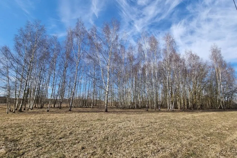 Ärimaa, 6193 m² Maa - Tartu linn, Tartu linn - foto 2