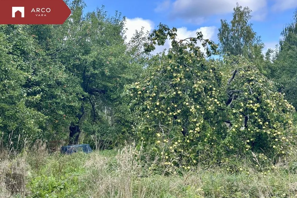 Elamumaa, 1470 m² Maa  -  Räpina vald, Veriora alevik - foto 2