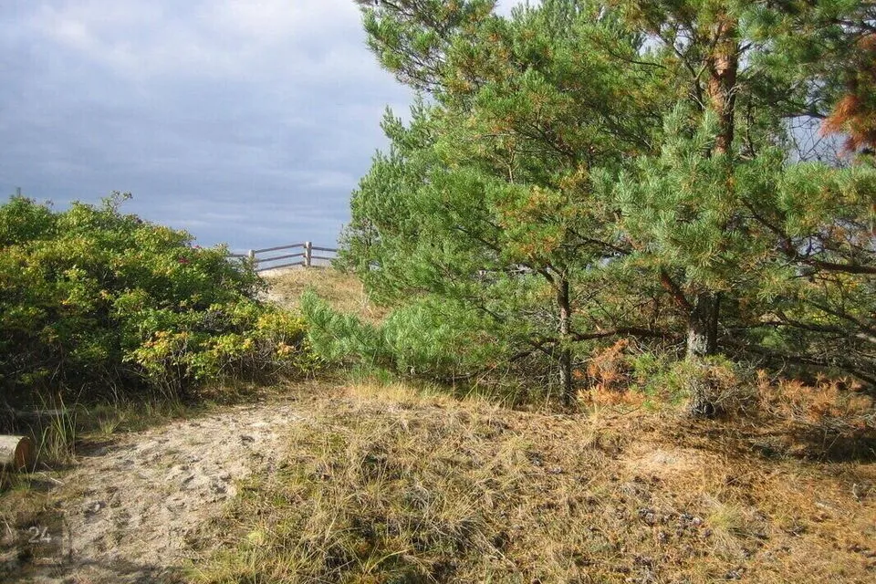 Земля жилой застройки, 4678 m² участок в Lääne-Harju vald, Kloogaranna küla - фото 3